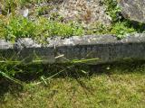 image of grave number 313167